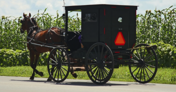 ハイウェイを走るアーミッシュの馬車